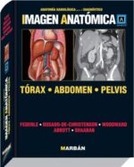 Imagen Anatomica Torax Abdomen y Pelvis