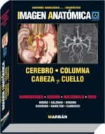 Imagen Anatómica Cerebro, Columna, Cabeza y Cuello