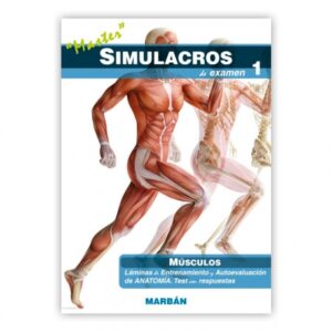 Simulacros de examen 1: Músculos