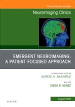 Emergent Neuroimaging: A Patient Focused Approach: Neuroimaging Clinics