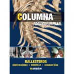 Columna Toracolumbar