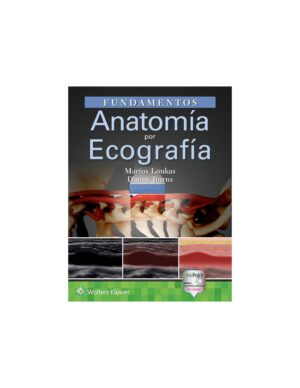 Fundamentos. Anatomía por ecografía