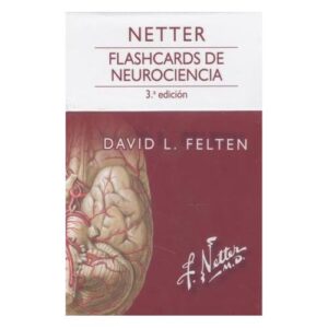 Flashcards de neurociencia
