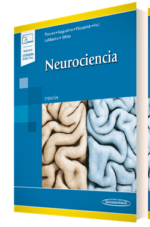 Neurociencia