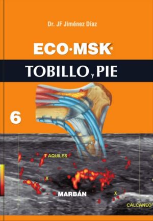 Eco MSK 6 Tobillo y Pie - Jiménez