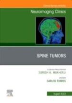 MRI and Traumatic Brain Injury, An Issue of Neuroimaging Clinics