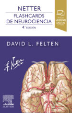 Felten NETTER. Flashcards de Neurociencia 4ed